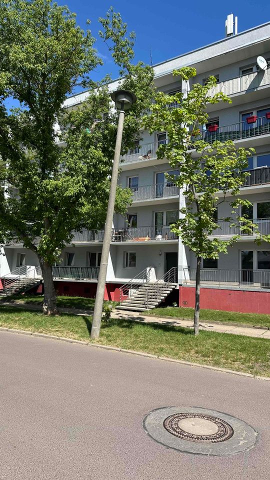 Haus